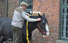 Erddig Shires - Sunday 22nd April
