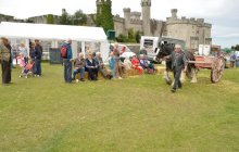 North Wales Shire Horse Society Show 2014 - inside the ring