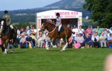 Bodelwyddan Open Day 26 August 2012