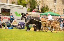 North Wales Shire Horse Show 2015