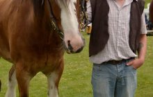 North Wales Shire Horse Society 2014 Show - Parade section