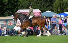 Bodelwyddan Open Day 26 August 2012