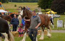 North Wales Shire Horse Society 2014 Show - Parade section