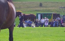 NWSHS 26 August 2012