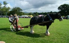 Bodelwyddan Open Day 2011