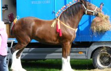 Bodelwyddan Open Day 26 August 2012