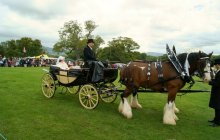 Bodelwyddan Open Day 2011