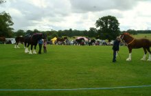 Bodelwyddan Open Day 2011